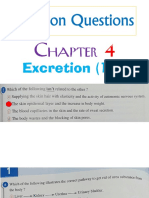 Revision Questions Chapter 4 (Exams 1 - 5) PDF