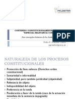 4 Contenido Constitucionalmente Protegido y Especial Relevancia Constitucional