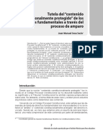 TEMA 4 - Tutela Del Contenido Constitucional de Los Derechos (JM Sosa) PDF