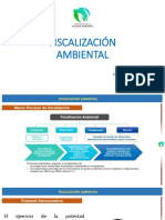 Fiscalización Ambiental - Sesión 5 PDF