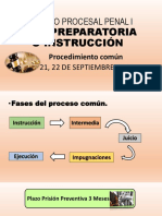 Fases Del Proceso Penal