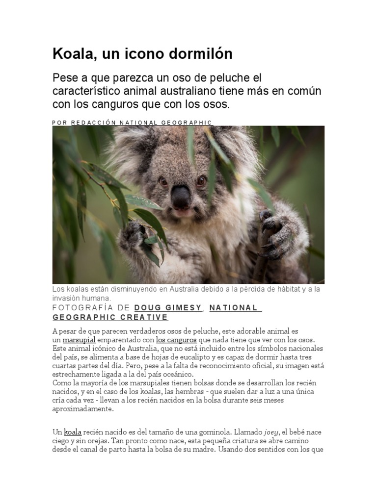 informe-planeta-vivo-informe-final-pdf-coala-osos
