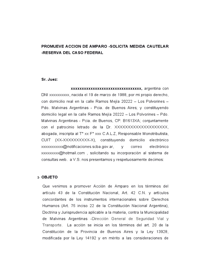 Promueve Accion de Amparo Modelo | PDF | Mandato | Derecho Constitucional