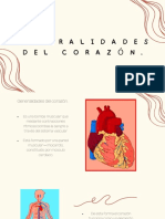 Generalidades Del Corazón