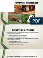 Lecture 9 Animal Nutrition