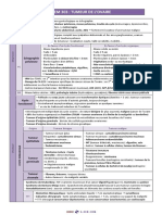 Item 303 - Tumeur de Lovaire PDF