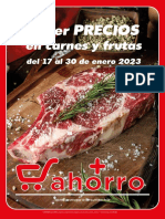 Folleto PDF