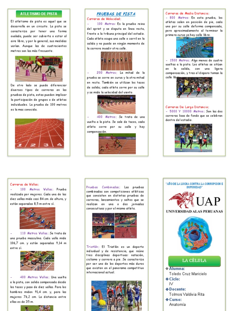 Medidas y Pruebas de Atletismo en Pista | PDF | Deporte del atletismo ...