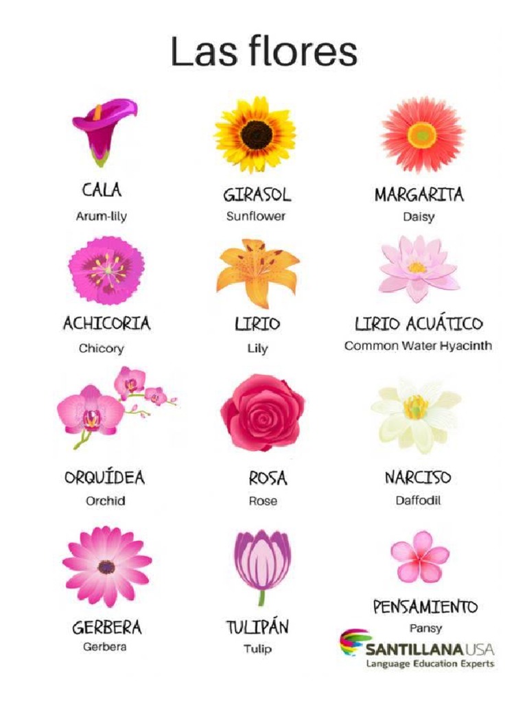 Sitemapcdatahttpautocellcare1comalcatraz Flor En Ingles