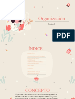 Organización equipo 5