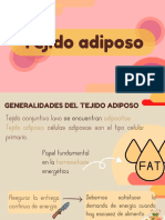 Tejido Adiposo PDF