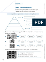 FT - Alimentación