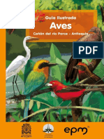 Guia Ilustrada Canon Del Rio Porce Antioquia Aves