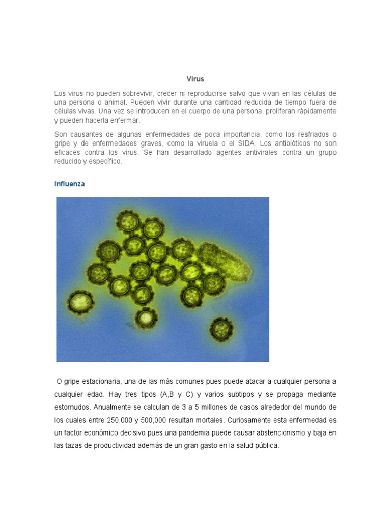 Virus PDF Virus Influenza