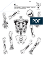 Build A Skeleton FINAL - Original 1644615332 PDF
