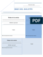 Formato Del Borrador - Boletín Informativo