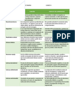 Funciones de Los Sistemas Del Cerebro