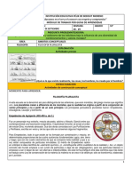 P2 Guia 4 Filosofia 10 PDF