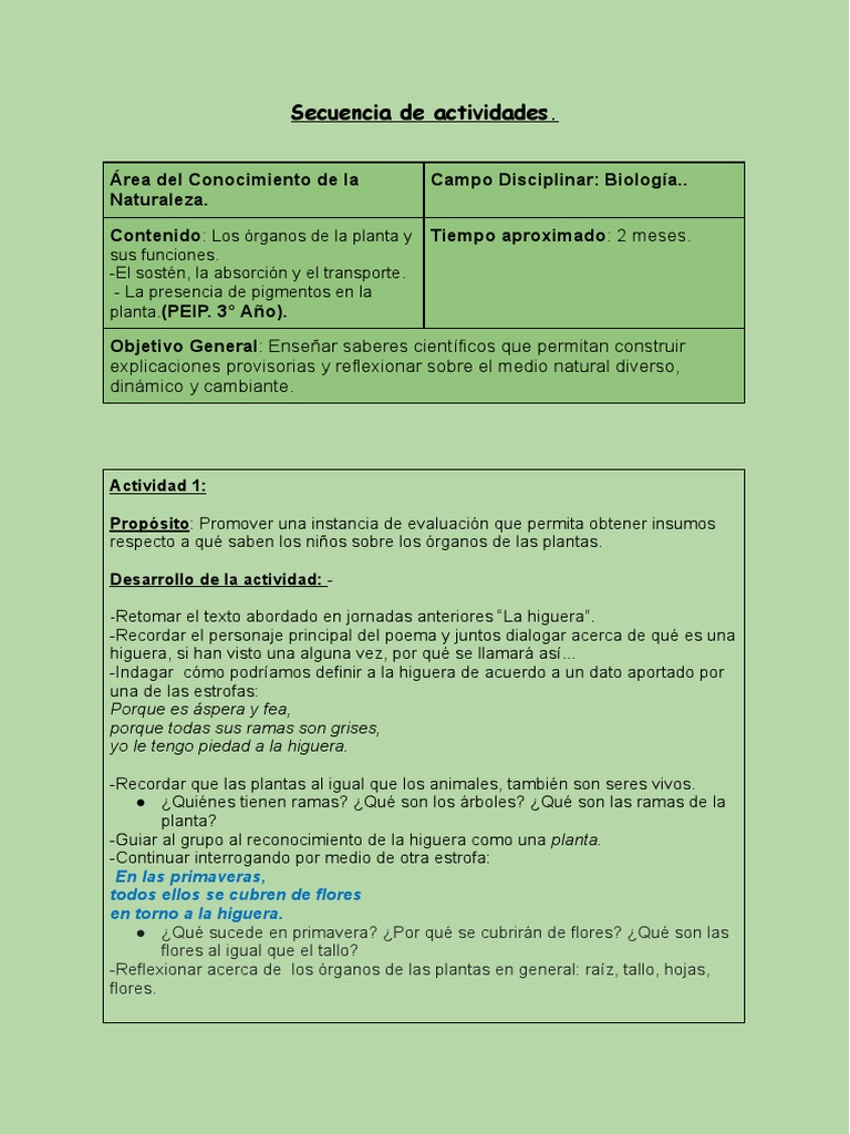 La Planta y Sus Partes PDF | PDF | Hoja | Plantas