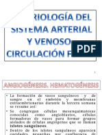 EMBRIO VENAS Y ARTERIAS