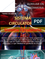 Sistema Circulatorio