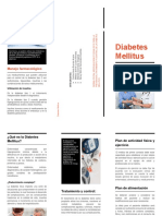 Diabetes Mellitus: Atención integral al paciente