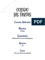 Presentaciones PDF