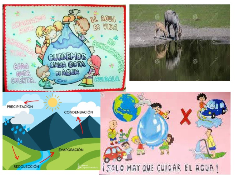 Imagen Del Agua Pptx Pdf