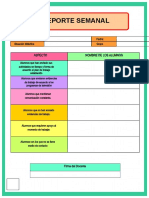 05 Reporte Semanal Word