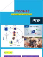 CITOCINAS y ENFERMEDAD FERNELY