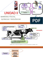 Barreras Fisicas, Quimicas y Biológicas Fernely