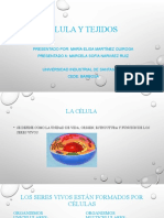 Célula y Tejidos Diapositivas