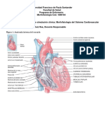 Cardiovascular - Guia de Estúdio Laboratório de Simulación Clínica PDF