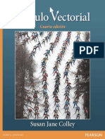 6.-Vectorial (MathRocks) Susan Colley.pdf