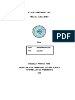 Laporan DM PDF