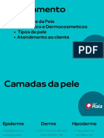 Camadas da pele e tipos de cosméticos