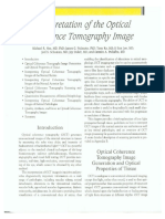 Interpretation of OCT Images_2004_Print to file.pdf