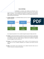 TEMA 8 - Ciclo - Contable