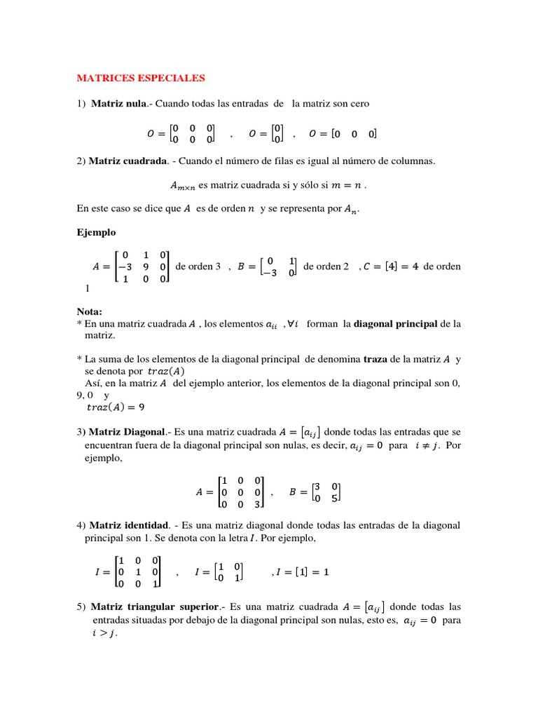 Matrices Especiales y Determinantes | PDF | Matriz (Matemáticas ...