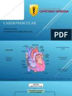 Sistema cardiovascular: estructura, envejecimiento y enfermedades