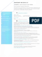 Curriculum Juan Pablo Correcto PDF