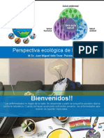 Presentacion Perspectiva Ecologica de La Salud para Parcial