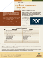 PDF Disenado Junta Directiva
