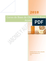 Curso de base de champú y acondicionador