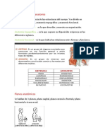 Generalidades de Anatomía