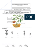 DIAGNOSTICO CIENCIAS NAT 2do Bco