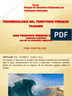 04 Fenomenología Del Perú Tsunamis