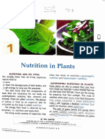 Nutrition in Plants and Animals PDF