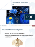 L4 Brain & Nervous System