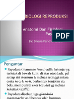 Anatomi Dan Fisiologi Payudara New1